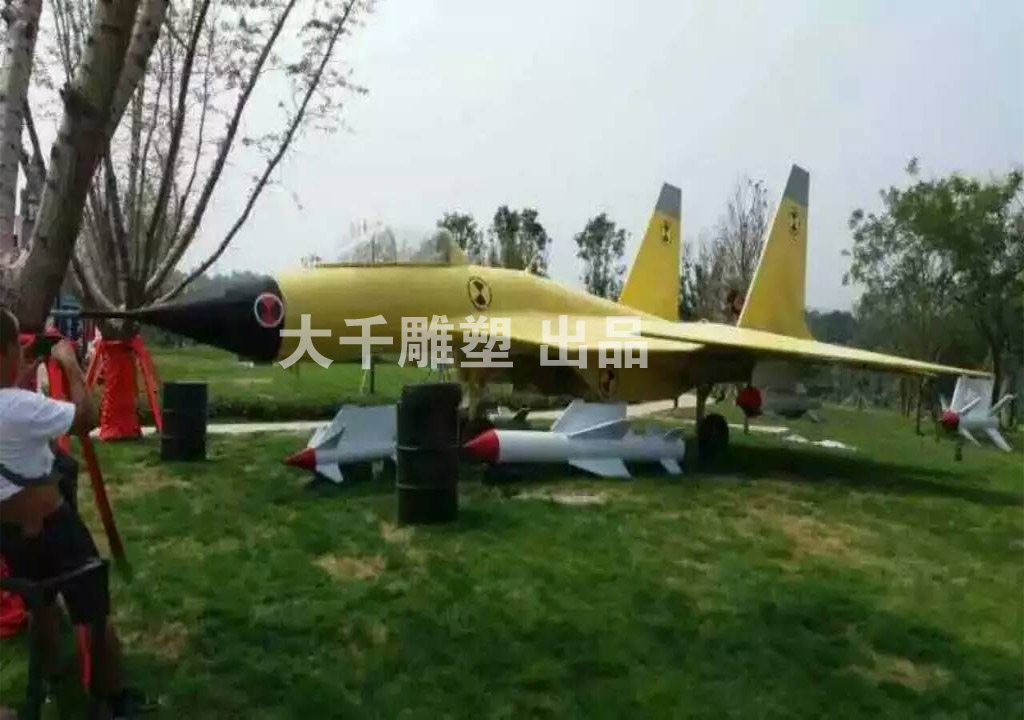軍事(shì)展覽飛(fēi)機(jī)：殲十五